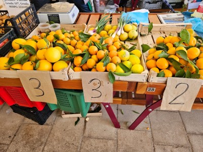 WhatsApp Image 2025-11-07 at 09.18.41 (2).jpeg